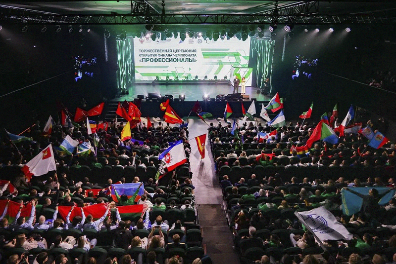 Профессионалы2026